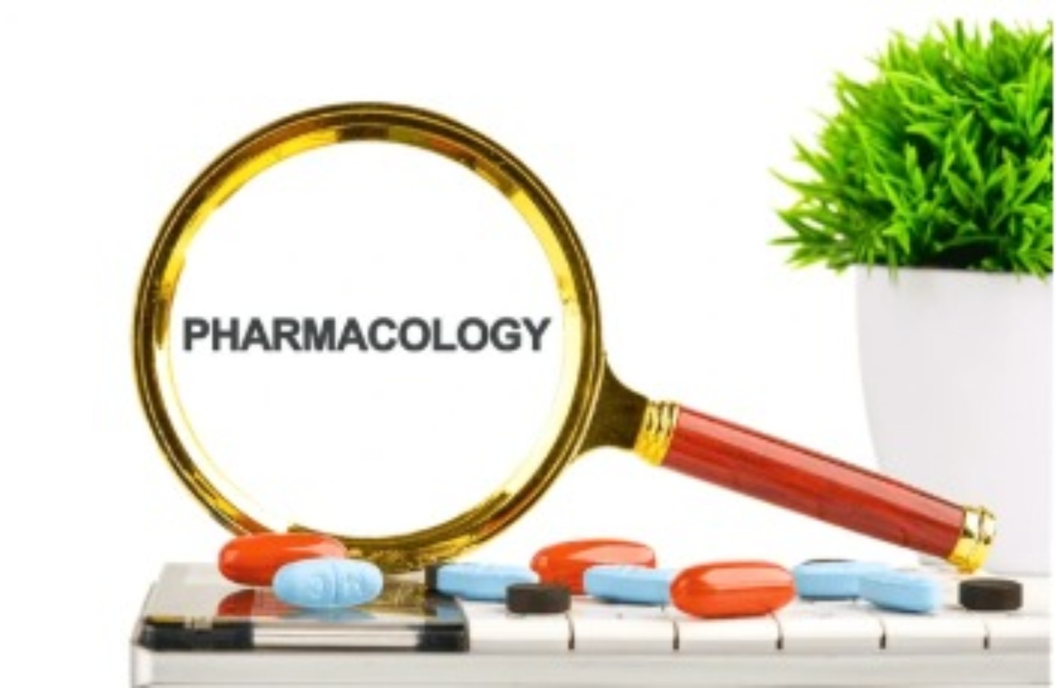 Pharmacology study materials and medicines
